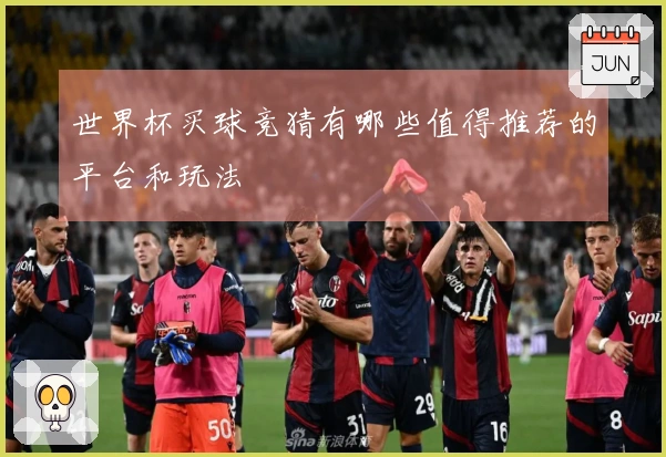 世界杯买球竞猜有哪些值得推荐的平台和玩法