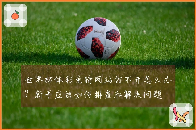世界杯体彩竞猜网站打不开怎么办？新手应该如何排查和解决问题