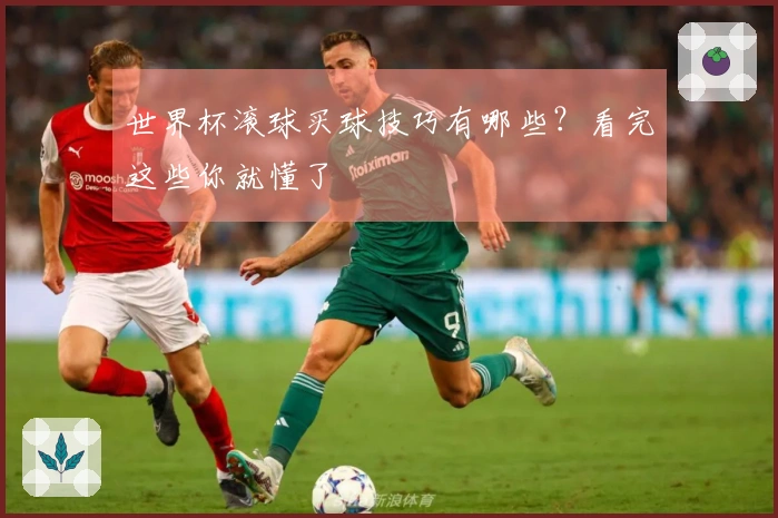 世界杯滚球买球技巧有哪些？看完这些你就懂了