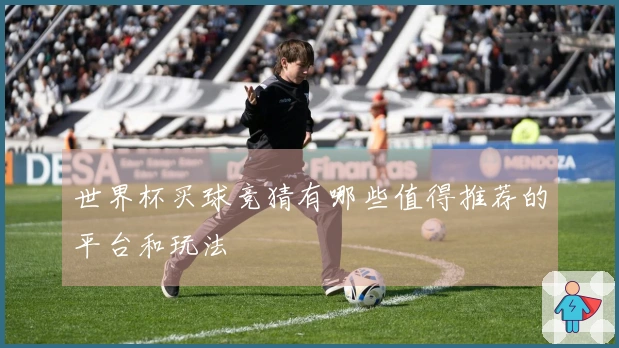 世界杯买球竞猜有哪些值得推荐的平台和玩法
