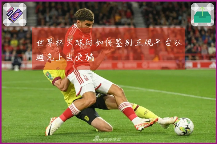 世界杯买球时如何鉴别正规平台以避免上当受骗