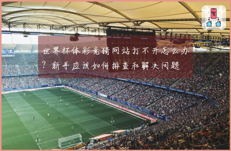 世界杯体彩竞猜网站打不开怎么办？新手应该如何排查和解决问题