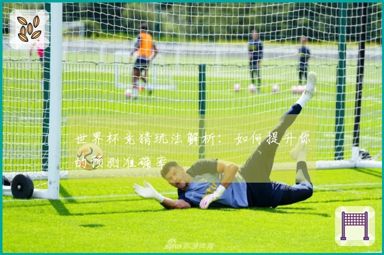 世界杯竞猜玩法解析：如何提升你的预测准确率