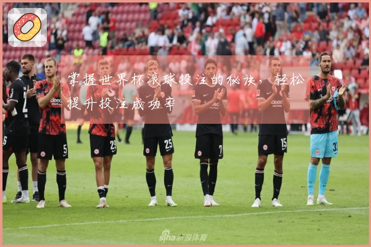 掌握世界杯滚球投注的秘诀，轻松提升投注成功率
