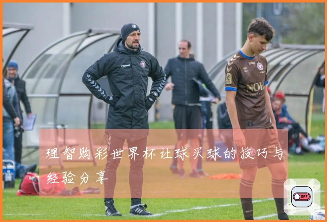 理智购彩世界杯让球买球的技巧与经验分享